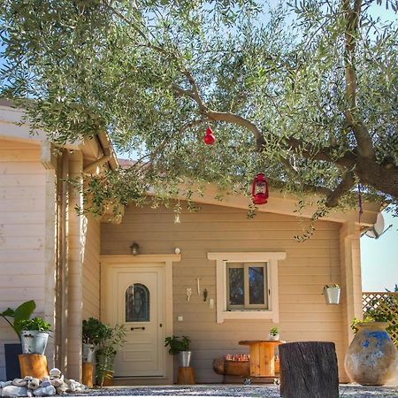 Driftwood Villa Каравадос Экстерьер фото