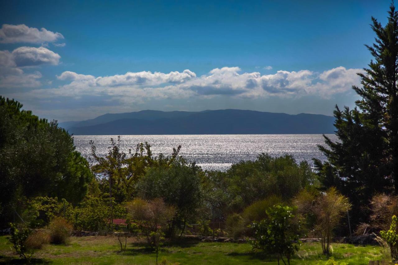 Driftwood Villa Каравадос Экстерьер фото